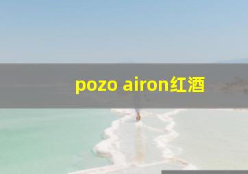 pozo airon红酒